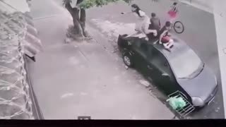 Pitbull attack