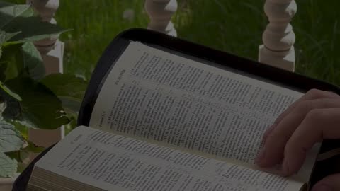 Struggling to stick with Bible reading?