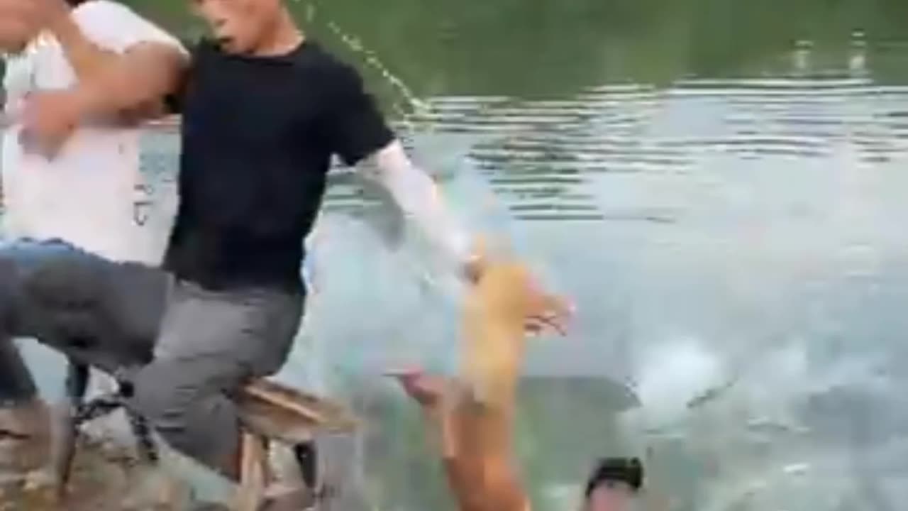 ফানি ভিতর