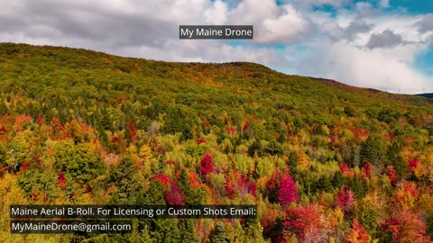 Maine B-Roll (No Audio): Fall Foliage in Woodstock Maine Video 1