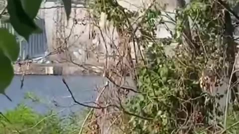 Ukraine war combat footage 8/12/25
