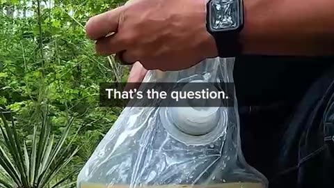 Who Would drink that