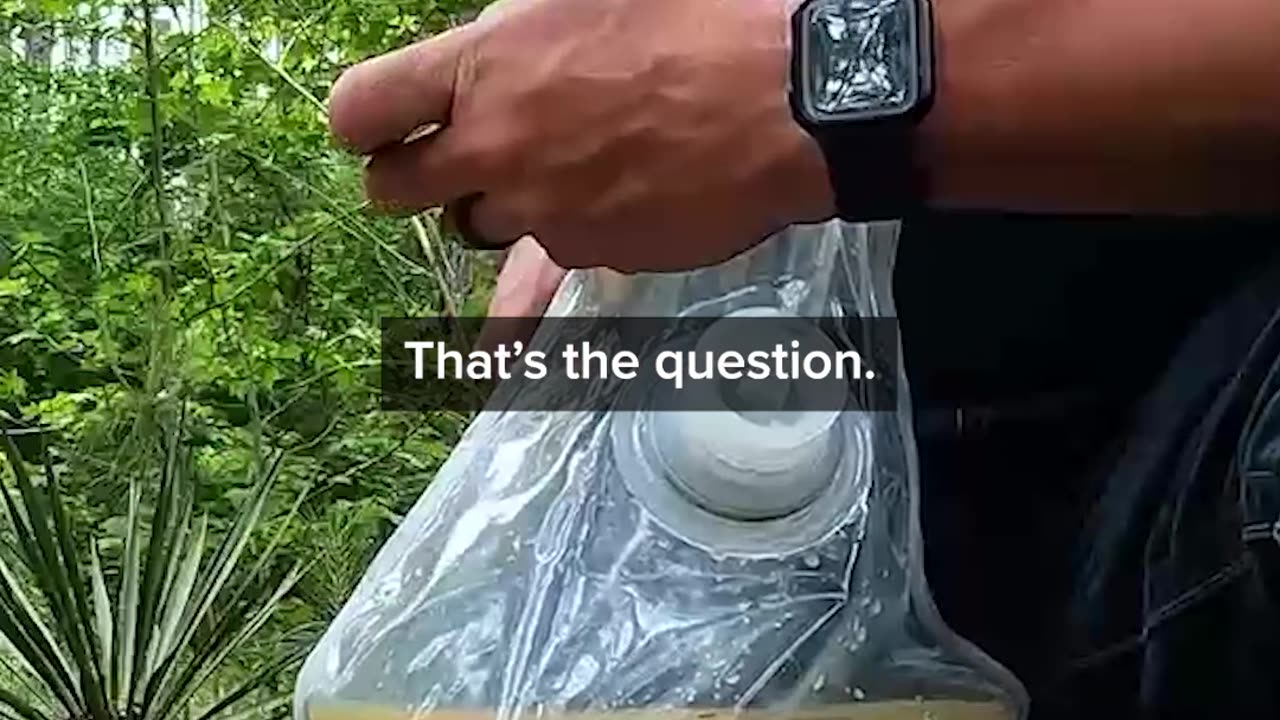 Who Would drink that