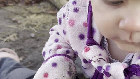 Baby Kayla Climbs Mommy Instead of Feeding Bunnies
