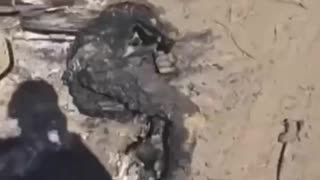 Aftermath of Drone Strikes On Russian Column
