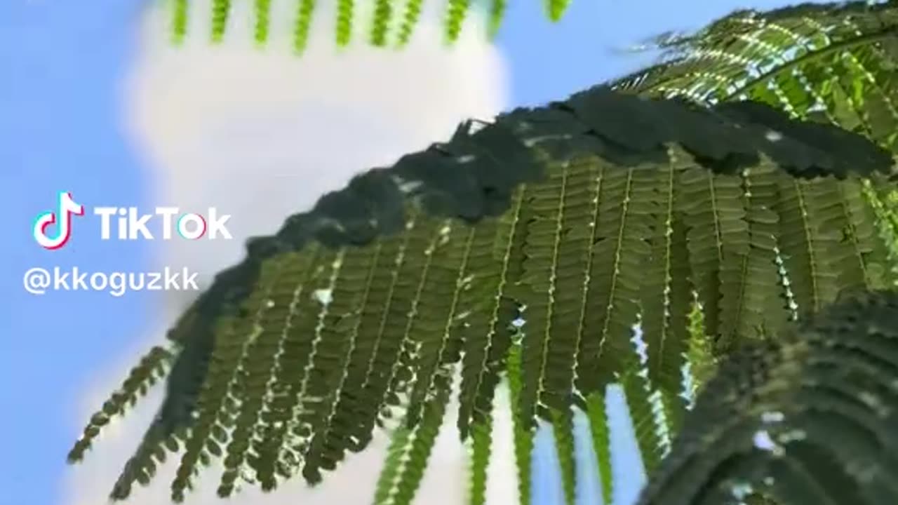 The Quba Mosque is a mosque located in Medina, in the Hejaz