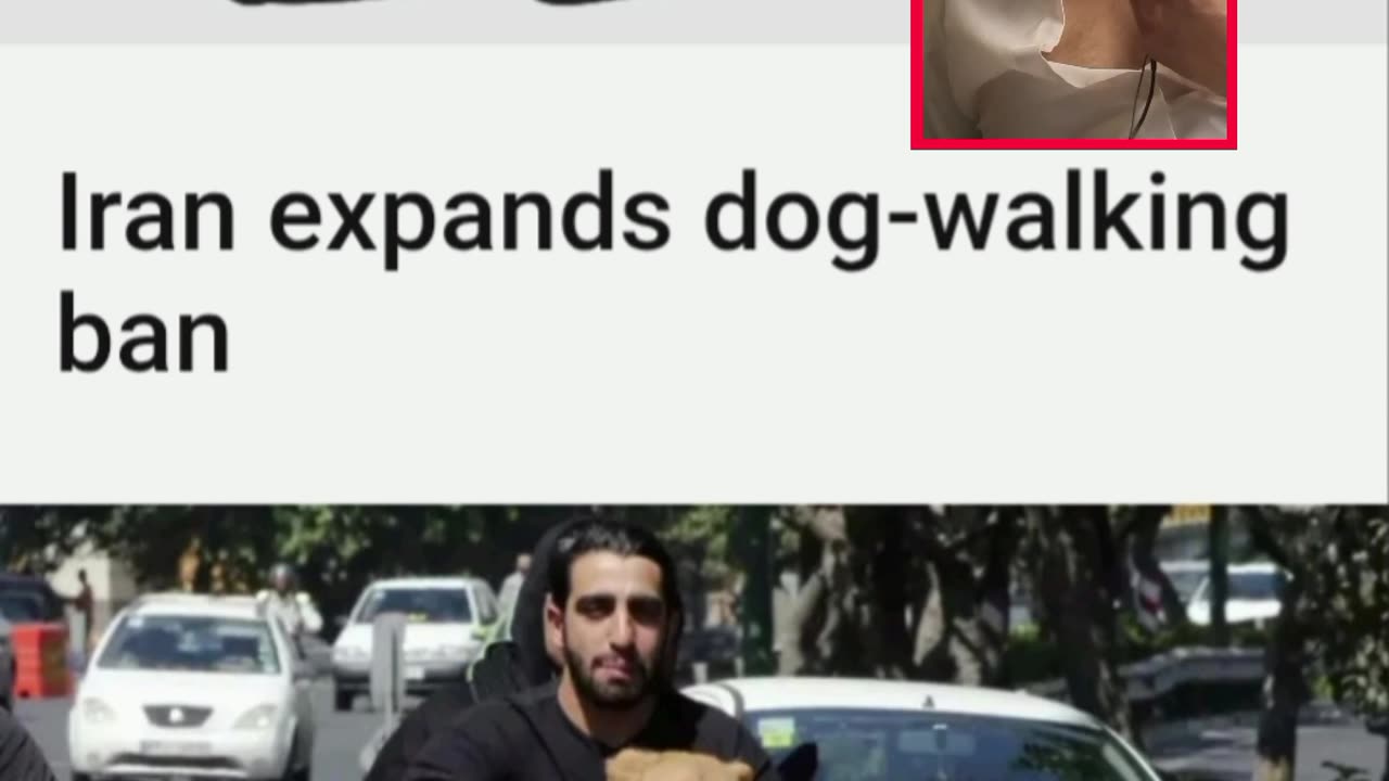 No dog walking in Iran