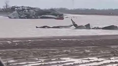 Video: Tornado damage between Mayersville and Grace in Issaquena County, Mississippi.