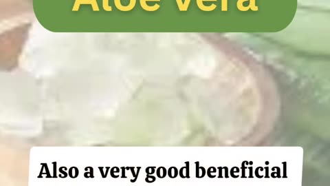 Benefits of Aloe Vera For Everyone