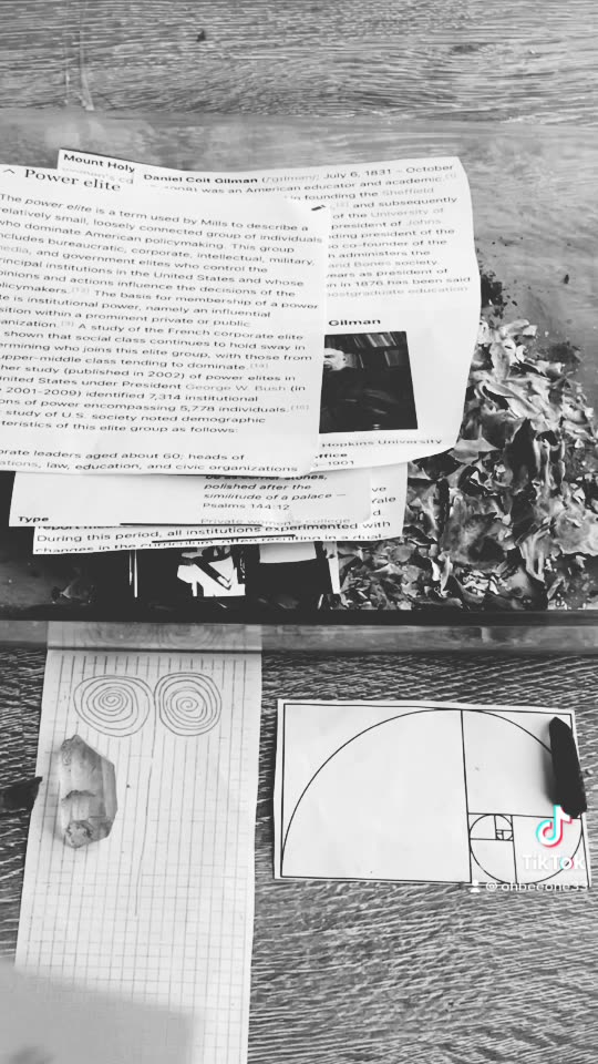 Tim Rifat TikTok Videos