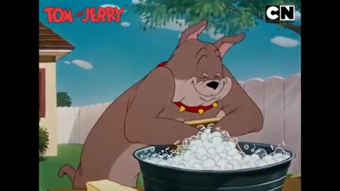 funny 😂 TOM And JERRY #funny #foryou