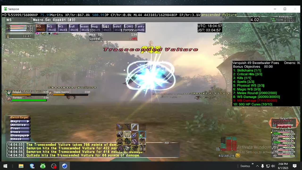 Playing Final Fantasy XI Online