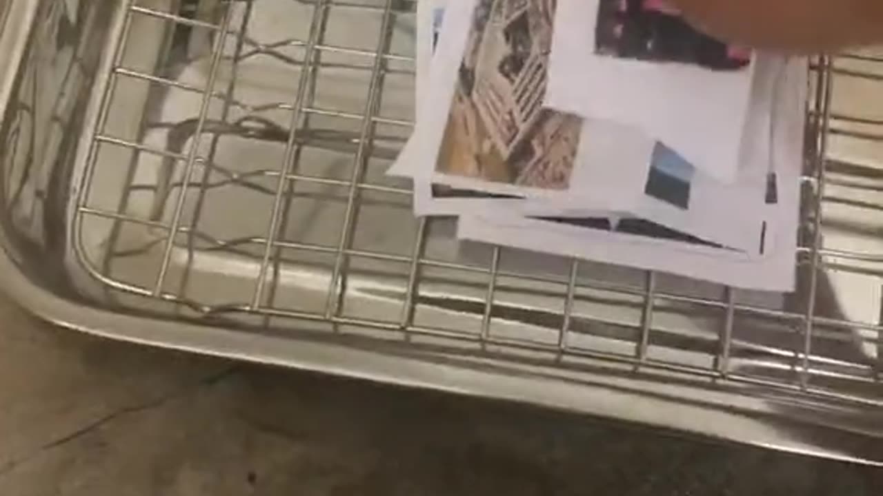 Tim Rifat TikTok Videos