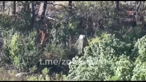 💥🛸 Ukraine Russia War | Geran-2 Drones Hit AFU Radar | RCF