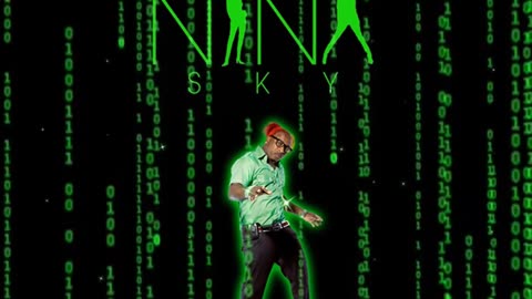 elephant man ft nina sky / move ya body