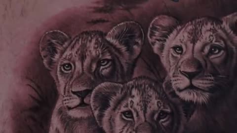 Wild Lion and cubs - Jose Contreras TX