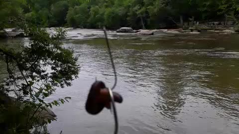 Hook'd a Hook