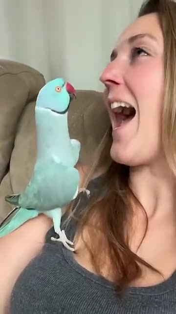 Look at his cuteness..! 😯 👍