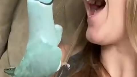 Look at his cuteness..! 😯 👍