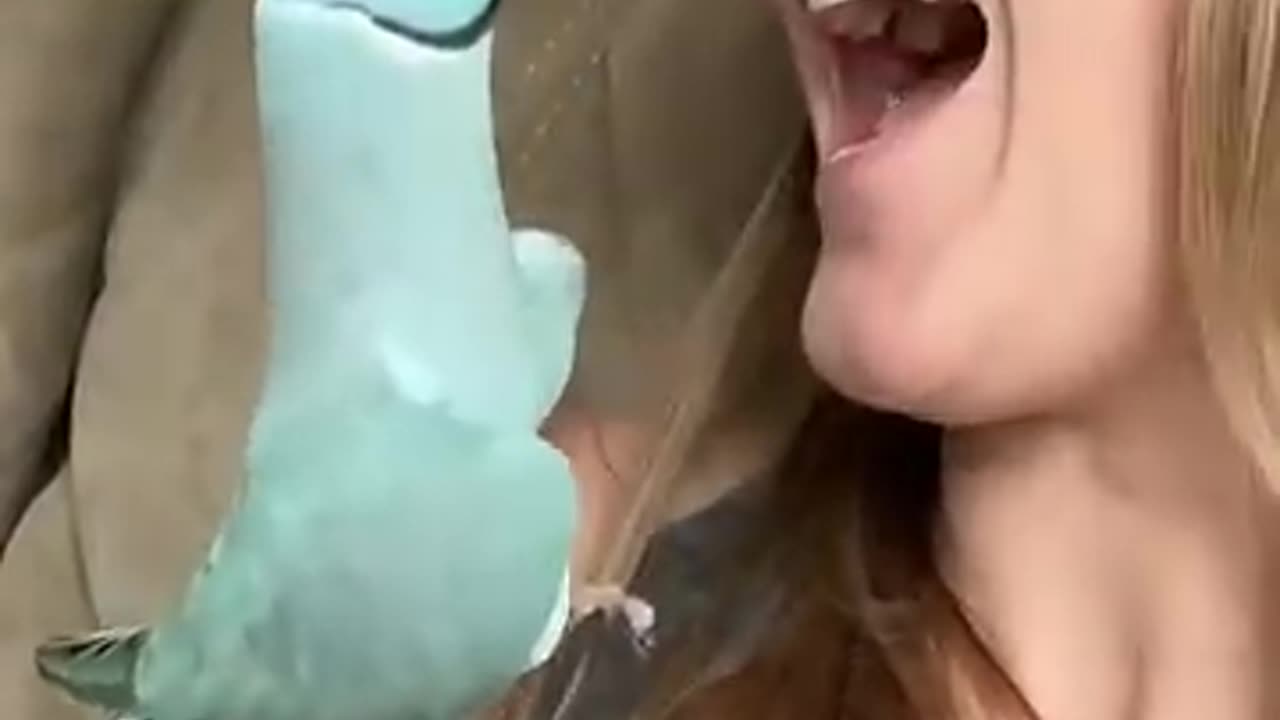 Look at his cuteness..! 😯 👍