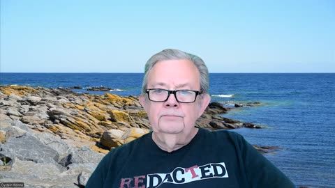 # 1542 - Ni är patetiska ynkryggar!