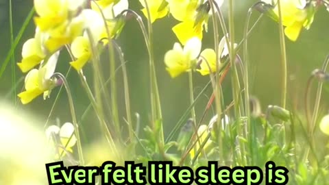 Old Age Sleeplessness Facts#AncientWisdom 📜 #SleepBetter 😴 #OldSchoolTips 🌙 #NapTime 🛏️ #ZenMode 🧘