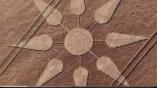 New crop circle no idea where he’s going to post whole video soon