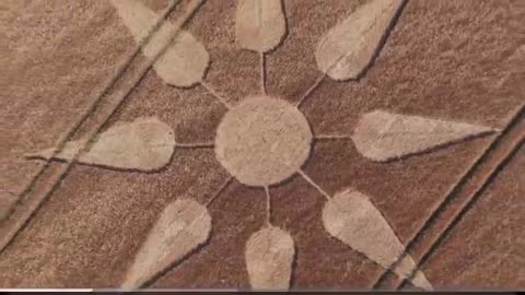 New crop circle no idea where he’s going to post whole video soon