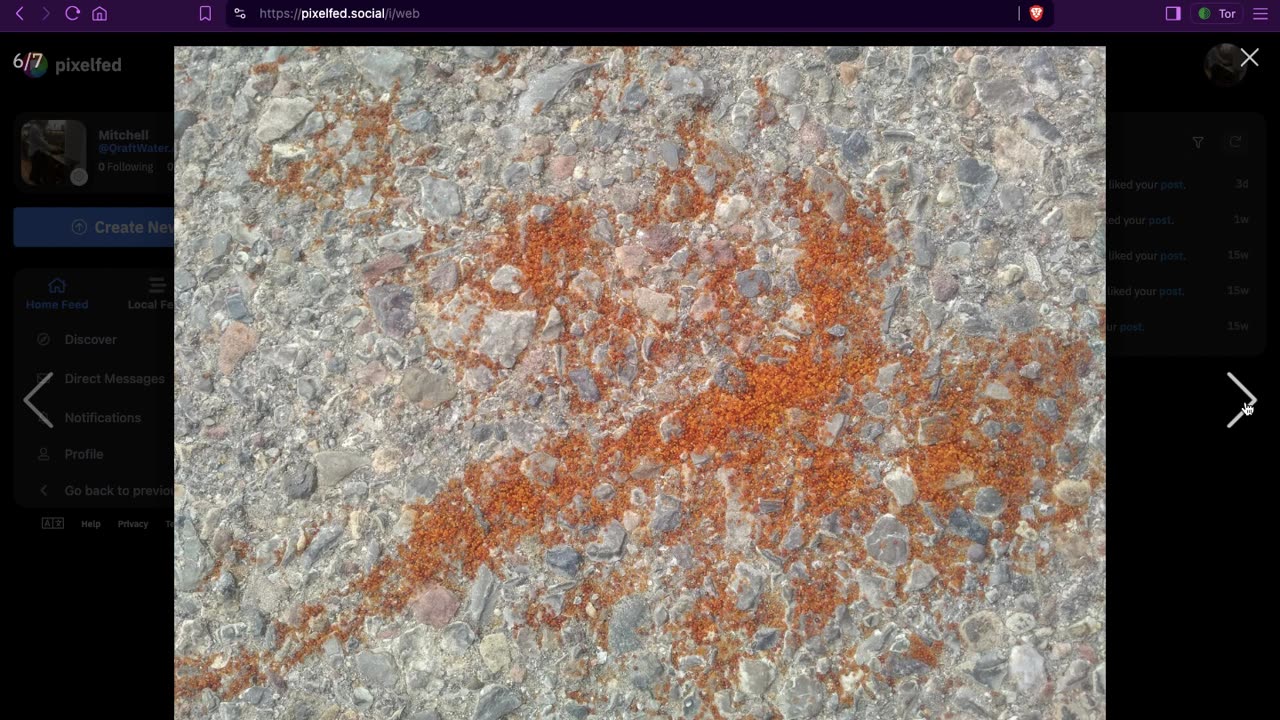 Pic or photo screen recording sample pixelfed [dot] social Resin