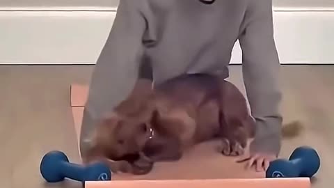 A Best Friend Teach You Love 😍🤗 #shortsreel #petlovers #love