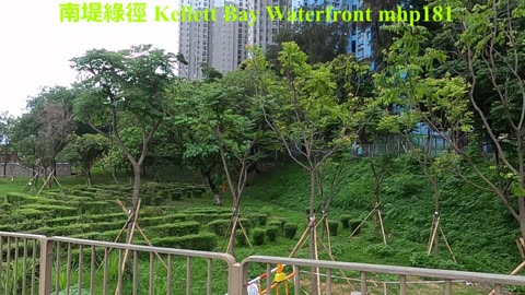 [香港優美的海邊小徑] #南堤綠徑 Kellett Bay Waterfront