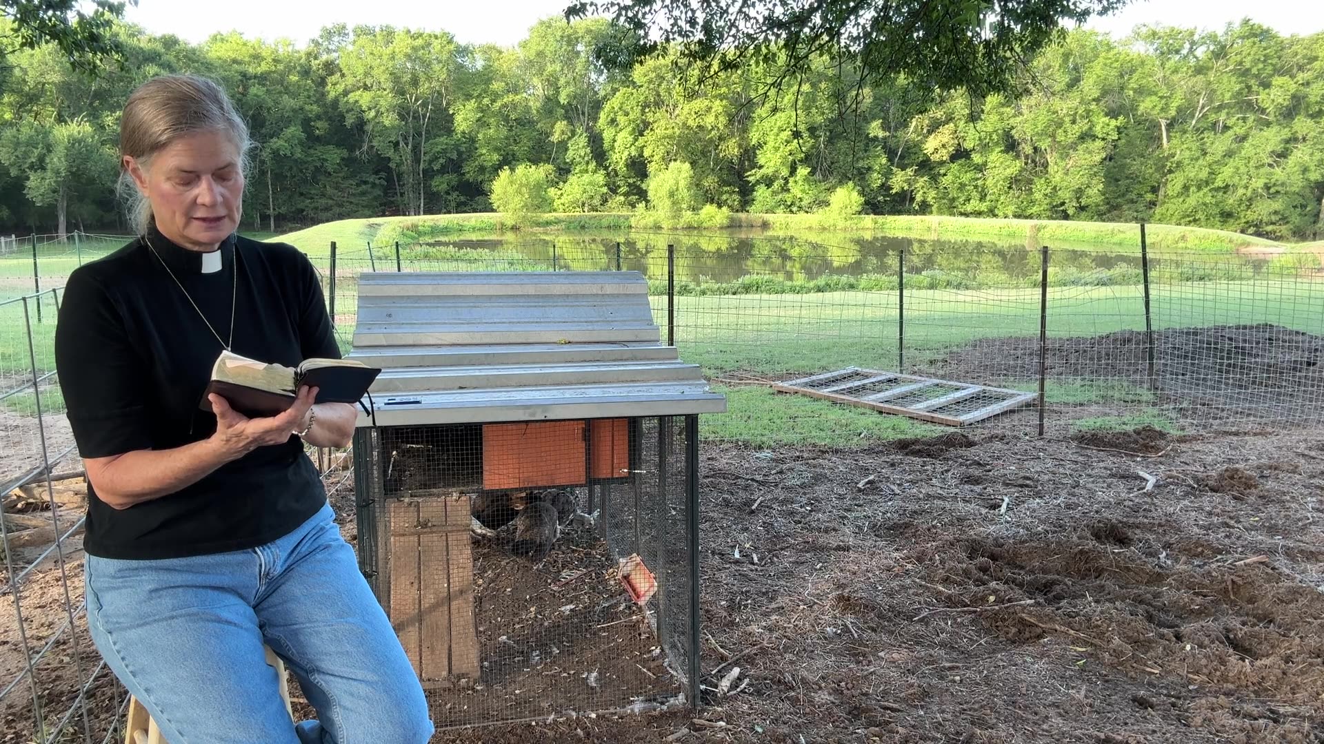 Morning Prayer, Daily Office