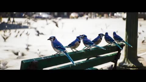 🌸🪽 The Birds That Whispered to the City ✨🦄💫 (#MiniMovie) - #nextnetmedia