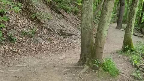 Grimes Glen Walking Trail Part 1