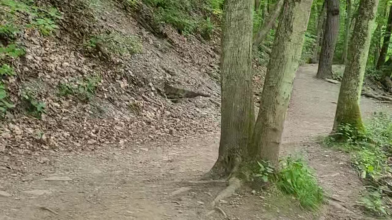 Grimes Glen Walking Trail Part 1
