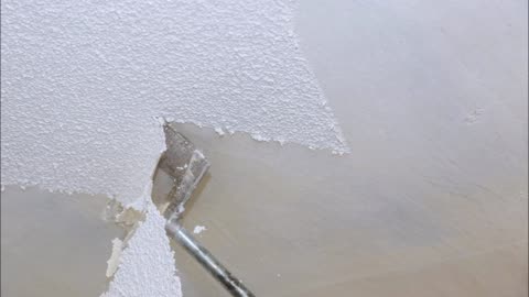 Paul's Drywall Inc.