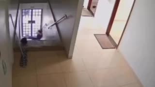 😂💥 Instant Regret! Watch This Poor Choice Unfold | FunFM