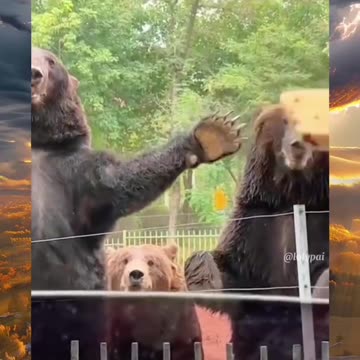 Such human reaction 😂