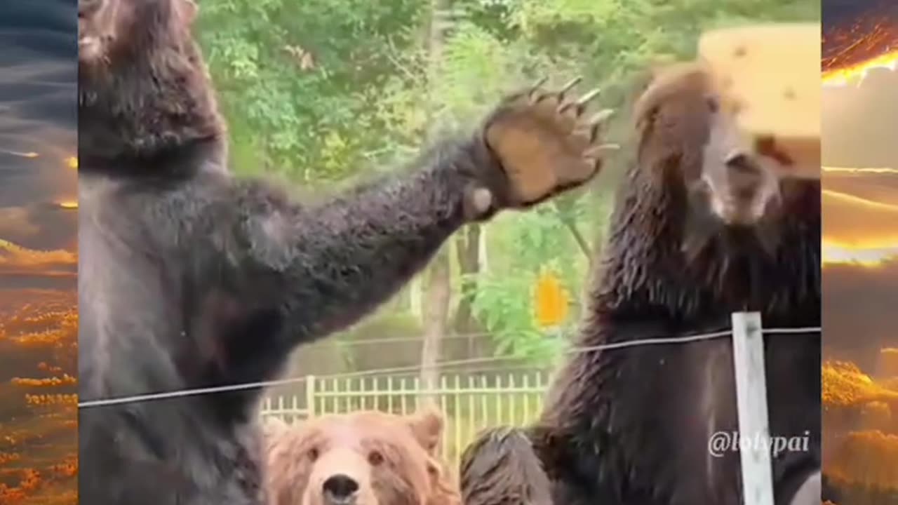 Such human reaction 😂