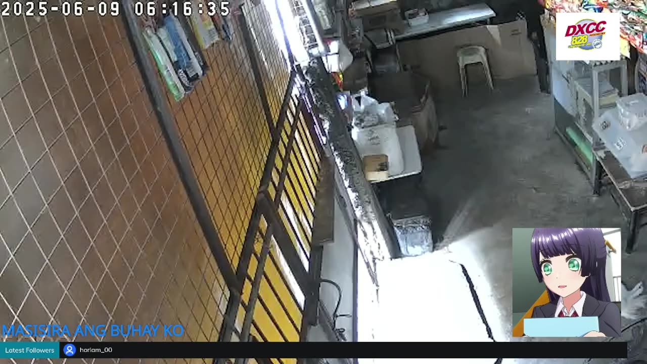 Mitsubishi Xpander 2019 Live