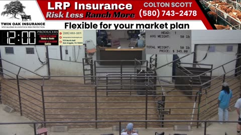 9/17/2025 - Sheep & Goat Auction - Producers Livestock Auction Company