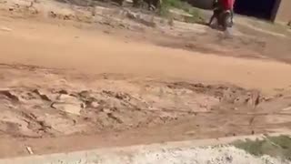 😂 No Vroom For Escape! | FunFM