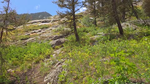 My Trip to Grand Teton National Park