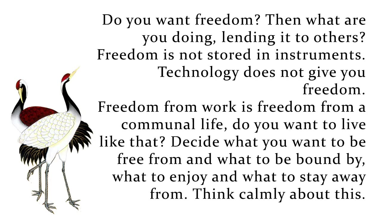 Freedom and well-being