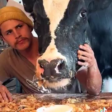 This is the greatest cooking show ever🤣🤣🤣🤣🤣