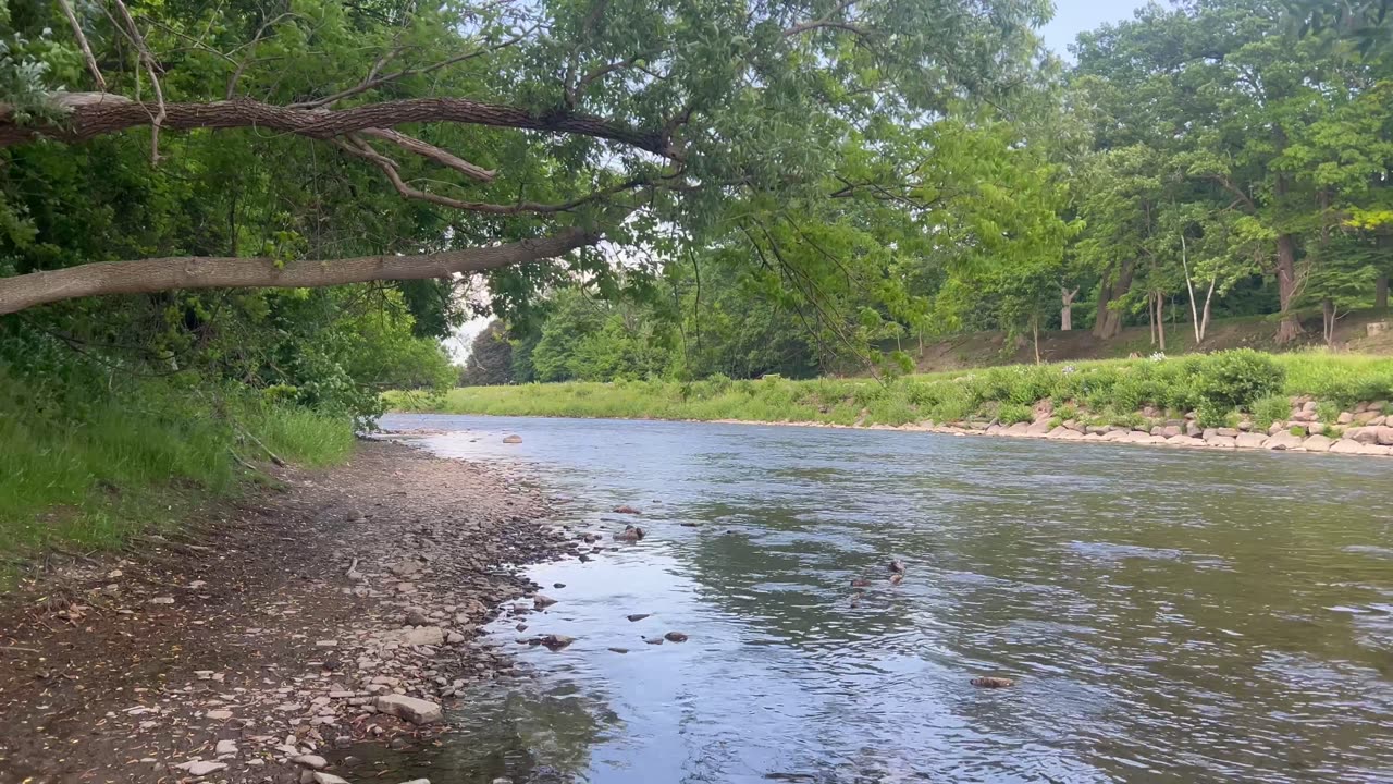 Humber River flow Toronto