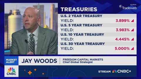 Woods: Myopic investors are failing to see the wider picture.
