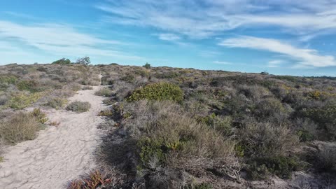 Chripmaz Trekking and Birdwatching in Lagoa de Sto Andre 26th DEC 2025 pt 3