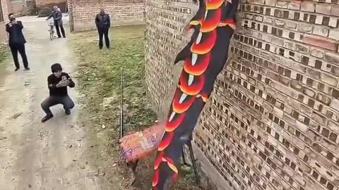 Flying dogs! 🐶🥹