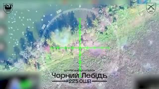 🛸💥 Ukraine Russia War | Black Swan Drones Hit Russian Positions in Sumy | RCF